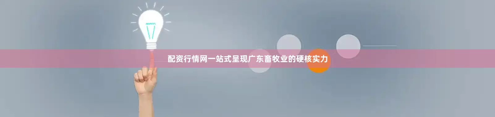 配资行情网一站式呈现广东畜牧业的硬核实力