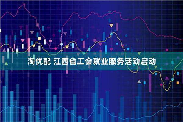 淘优配 江西省工会就业服务活动启动