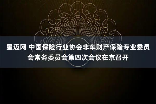 星迈网 中国保险行业协会非车财产保险专业委员会常务委员会第四次会议在京召开