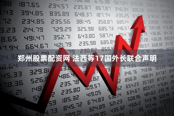郑州股票配资网 法西等17国外长联合声明